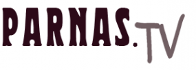 Логотип компании ПАРНАС