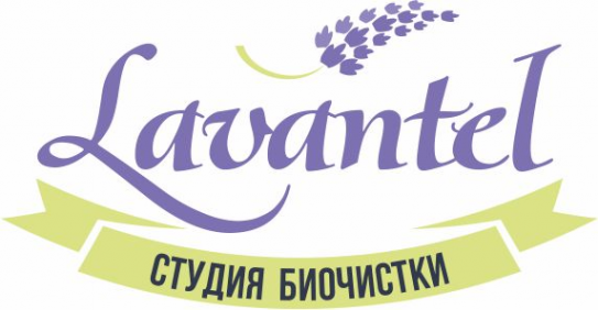 Логотип компании БИОчистка одежды Lavantel