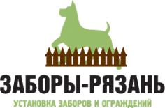 Заборы Рязани