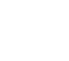 БИГСТРОЙ