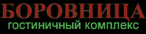Логотип компании Боровница