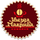Логотип компании Звезда Магриба
