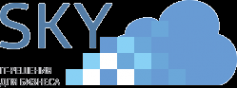 Логотип компании Sky