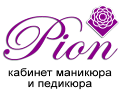 Логотип компании Pion