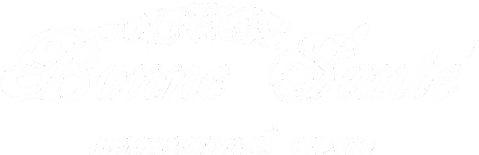 Логотип компании Bonne Sante