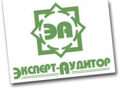 Логотип компании Эксперт-Аудитор