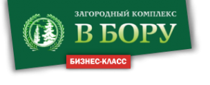 Логотип компании В бору