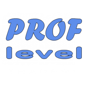 Логотип компании PROF level traders