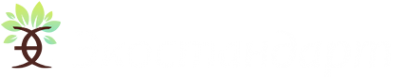 Логотип компании Экостандарт