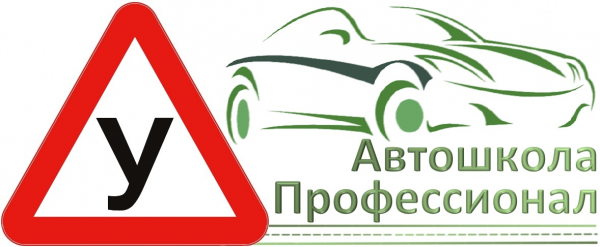 Логотип компании Автошкола Профессионал